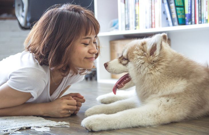 Ученые выяснили, как собаки реагируют на фразу «Я тебя люблю»