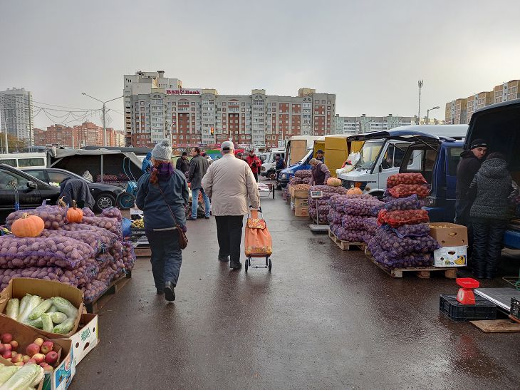 Брусника - 5 рублей, огурцы - 4,50 рублей. Что почем на сельхозярмарке в Минске