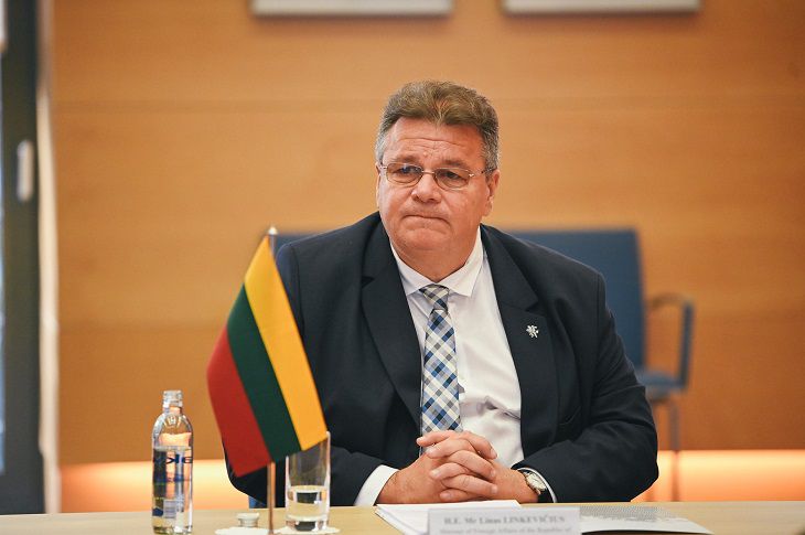 Глава МИД Литвы прокомментировал закрытие Беларусью границы Глава МИД Литвы прокомментировал закрытие Беларусью границы
