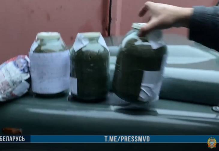 В Гомеле задержали крупных сбытчиков марихуаны