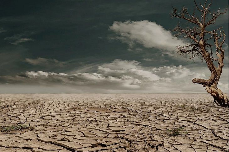 ООН: нынешнее столетие может оказаться последним для человечества ООН: нынешнее столетие может оказаться последним для человечества