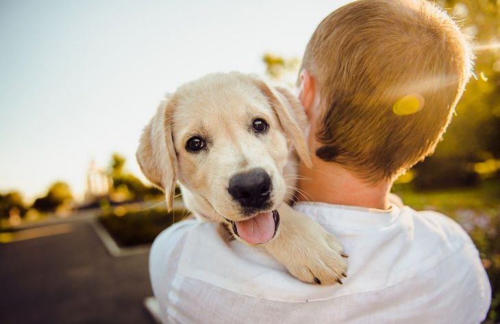 Специалисты назвали 5 простых способов показать собаке свою любовь