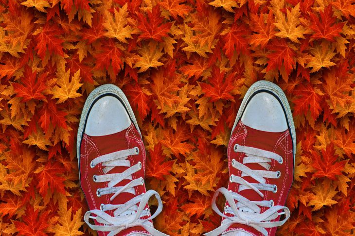 Счастливчики осени: каких знаков зодиака ждет белая полоса удач Счастливчики осени: каких знаков зодиака ждет белая полоса удач