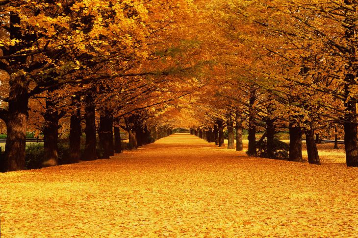 Ноябрьский гороскоп для всех знаков зодиака: астрологи назвали везунчиков месяца Ноябрьский гороскоп для всех знаков зодиака: астрологи назвали везунчиков месяца