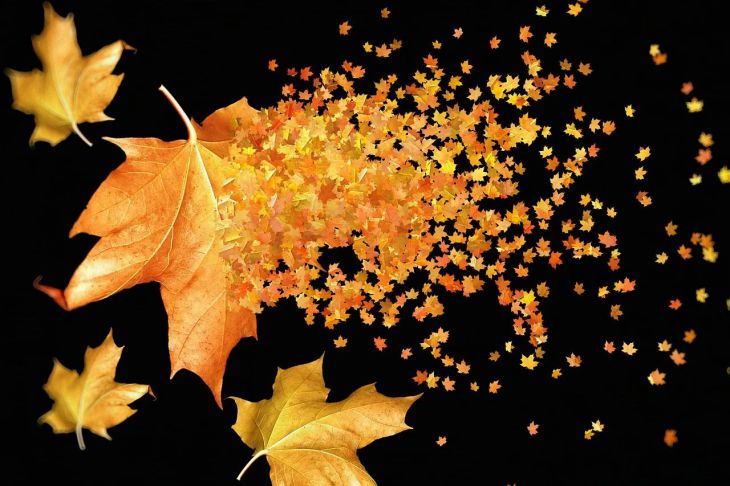 Сорвут куш: знаки зодиака, которым откроется портал удачи в конце октября Сорвут куш: знаки зодиака, которым откроется портал удачи в конце октября