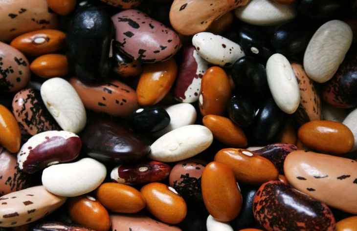 Диетологи составили список продуктов питания, которые улучшат работу почек