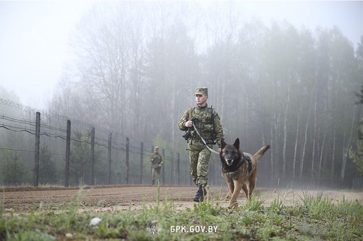 Турок и грузин хотели нарушить госграницу Беларуси