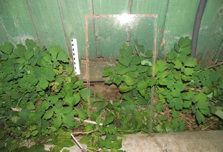 В Оршанском районе двое мужчин забрались в дом к пенсионерке, избили и ограбили