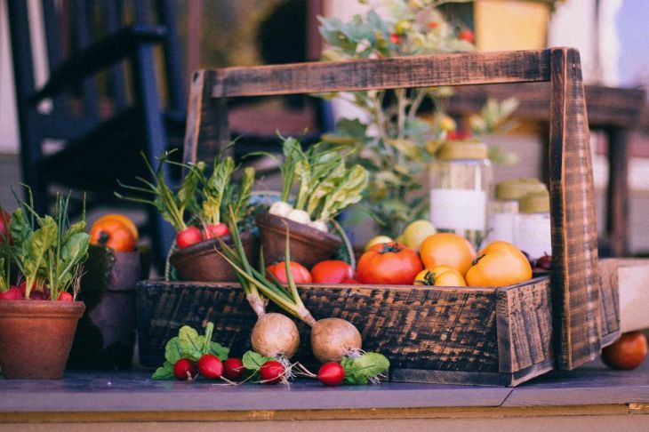 Диетологи назвали полезный рацион питания осенью Диетологи назвали полезный рацион питания осенью