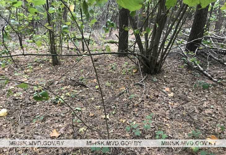 Могилевчанин под видом сбора клюквы делал закладки наркотиков Могилевчанин под видом сбора клюквы делал закладки наркотиков