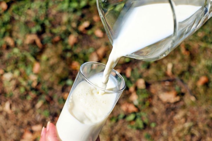 Как использовать молочную сыворотку в саду и огороде