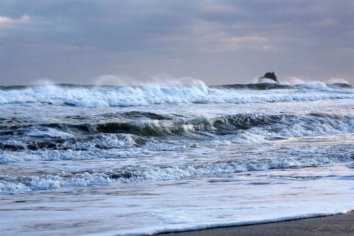 Власти Камчатки назвали три возможные причины загрязнения у берегов полуострова