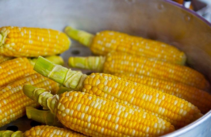 Диетолог объяснила, кому нельзя есть кукурузу 