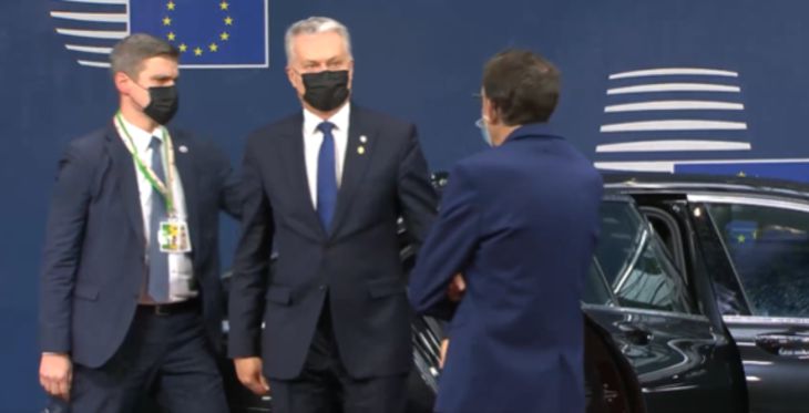 Литва предложила ЕС помочь Беларуси после ухода Лукашенко