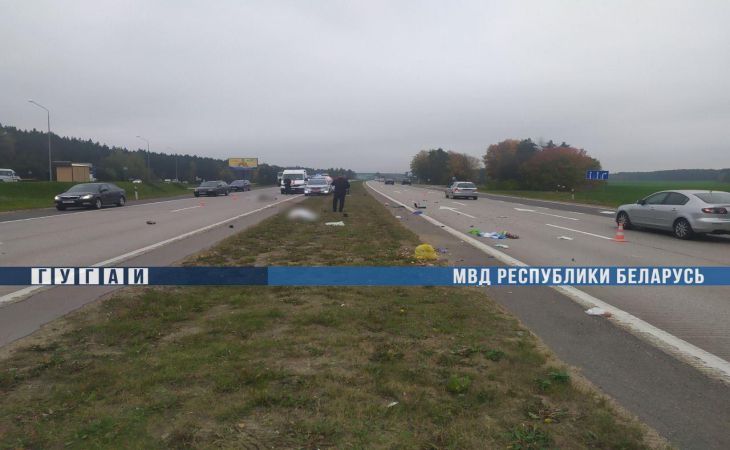 Под Минском женщина на Lexus насмерть сбила двух пешеходов