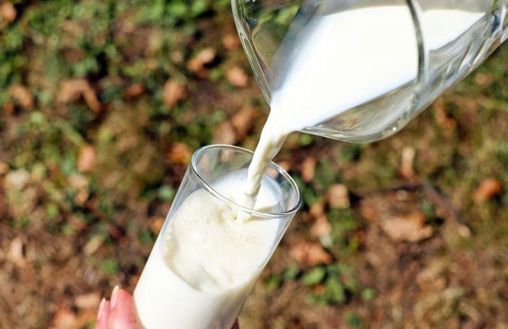 Ученые развеяли 3 популярных мифа о молоке