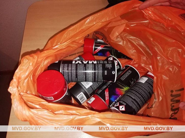 В Пуховичском районе задержали граффитиста, который пытался разрисовать подстанцию ТЭЦ