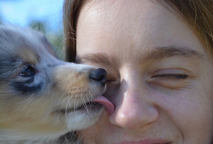 Названа неожиданная польза «поцелуев» с домашними животными