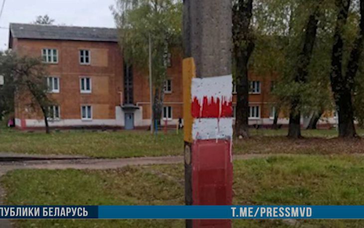 В Бобруйске задержали 37-летнего мужчину, рисовавшего БЧБ-флаги на столбах