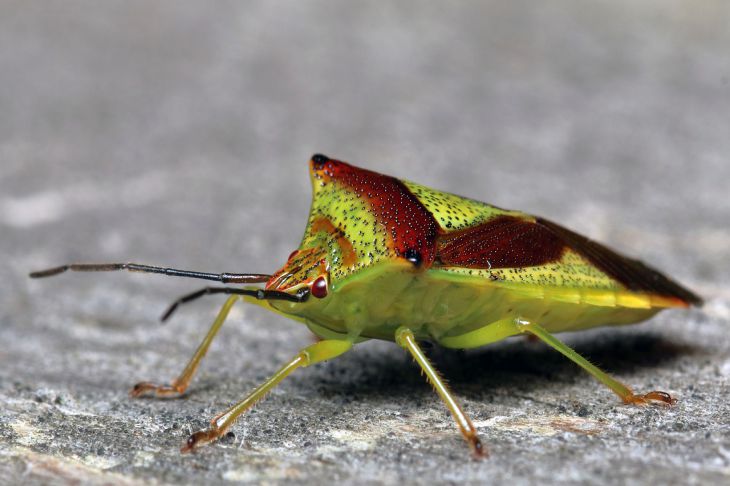 Ученые выяснили, почему плохие поступки «плохо пахнут»