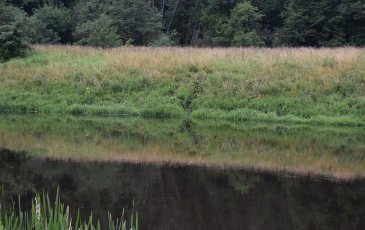 22-летний белорус перешел реку вброд, чтобы попасть в Литву