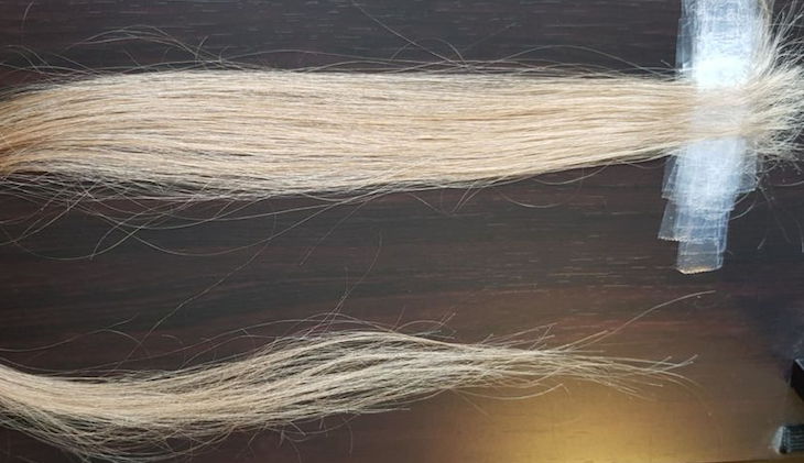 К такому она не была готова: Девушка лично проверила, сколько волос выпадает у человека за месяц К такому она не была готова: Девушка лично проверила, сколько волос выпадает у человека за месяц