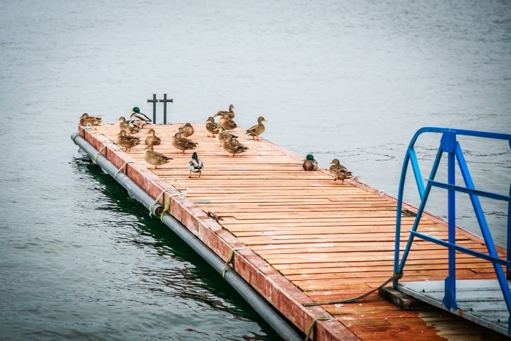 Житель Постав совершил набег на плавучий дом в Минске Житель Постав совершил набег на плавучий дом в Минске