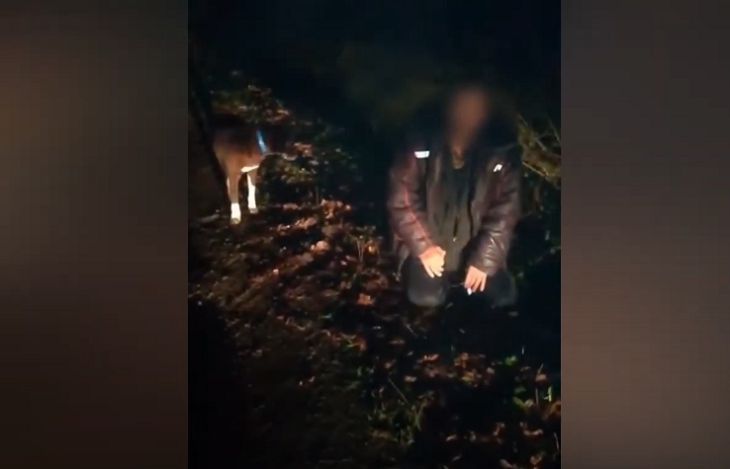 Под Минском ГАИ задержала ползущего по дороге пьяного пешехода – кадры