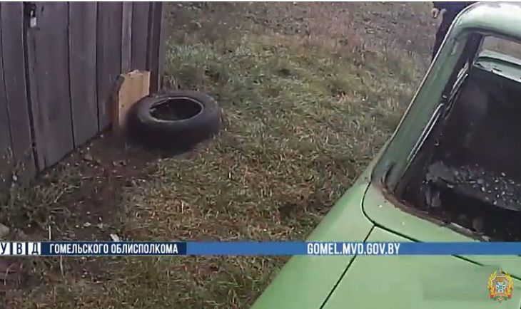 Дикий зверь терроризировал деревню под Хойниками