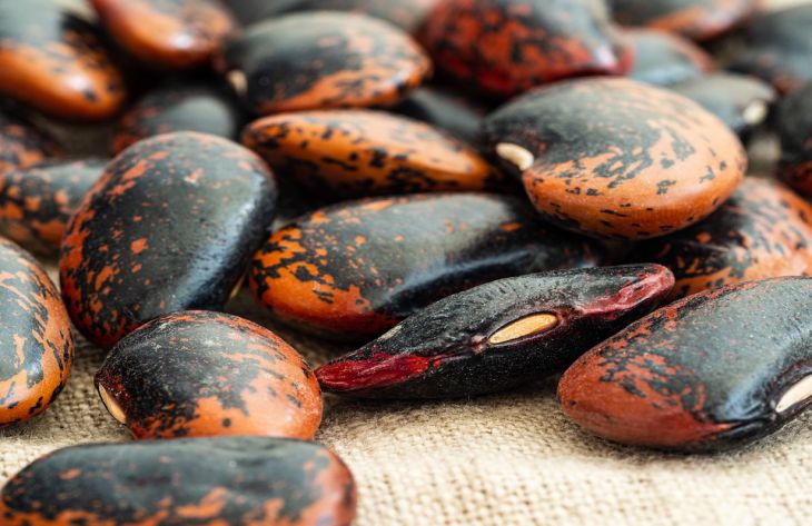 Кулинары поделились 3 рецептами вкусных салатов из фасоли Кулинары поделились 3 рецептами вкусных салатов из фасоли