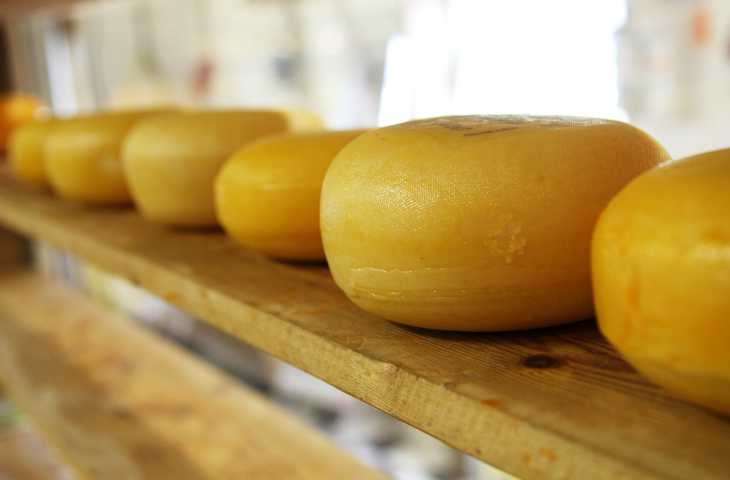 Как приготовить вкуснейшие сырные палочки в домашних условиях? Узнайте этот простой и быстрый рецепт