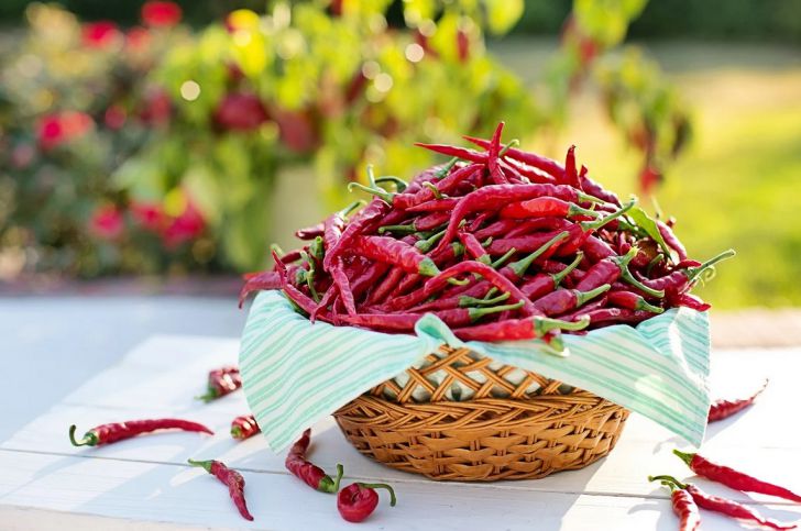 Названо неожиданное полезное свойство перца чили