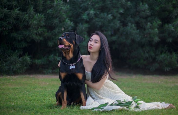 Почему люди заводят себе собаку: психологи назвали 5 причин Почему люди заводят себе собаку: психологи назвали 5 причин