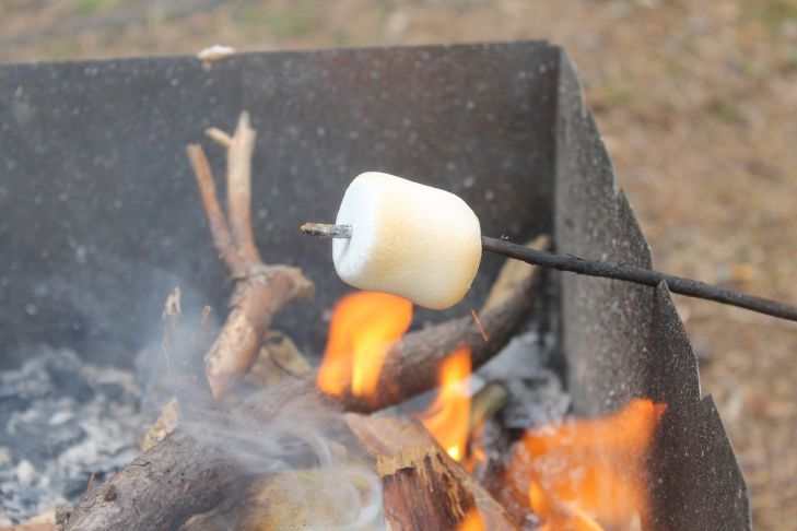 Ученые выяснили, что приготовление пищи «на дровах» опасно для здоровья