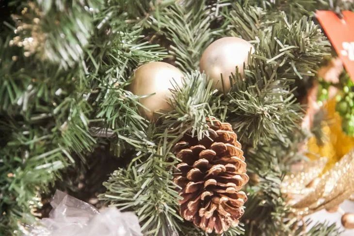 Медики рассказали, как новогодняя елка может вылечить от коронавируса