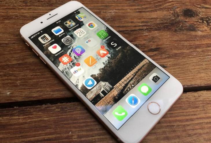 В Могилеве прохожий забрал у спящих на остановке парня и девушки смартфоны