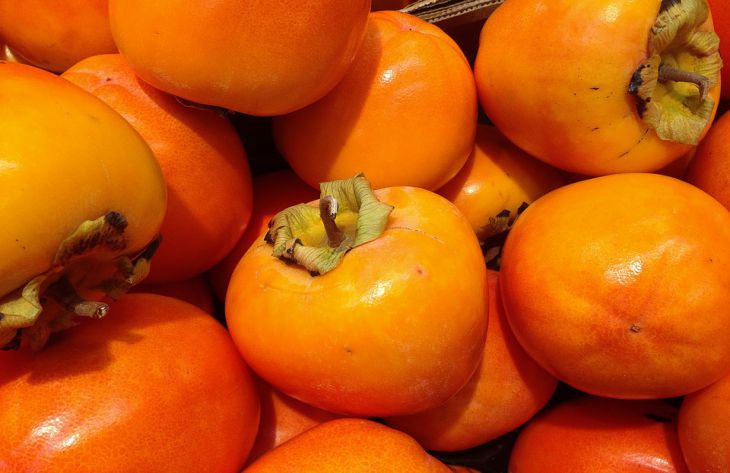 Медики объяснили, чем опасна хурма и сколько плодов можно съедать в день 