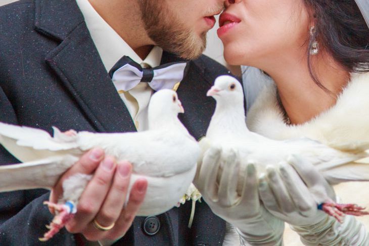 Что белорусы прописывают в брачном договоре? Интервью с нотариусом