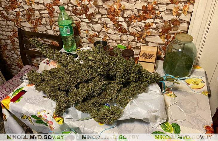 В Борисове задержали семью накроторговцев, изъято 4 кг марихуаны