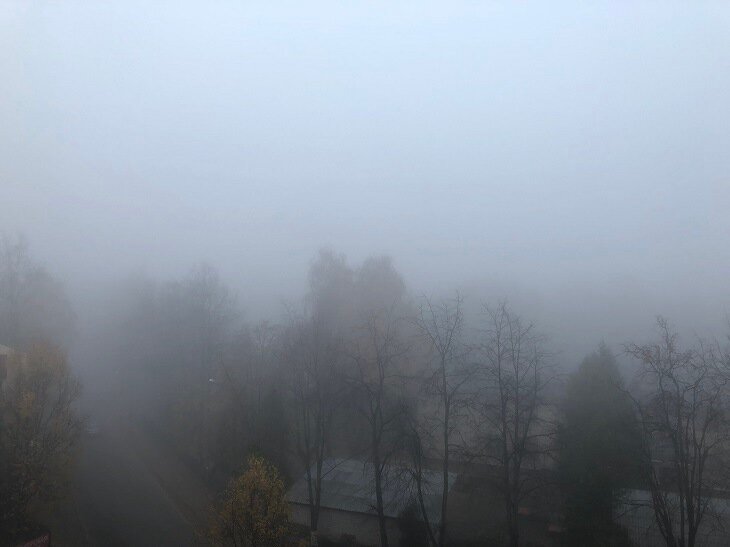 Осадки и туман: погода в Беларуси на 25 ноября