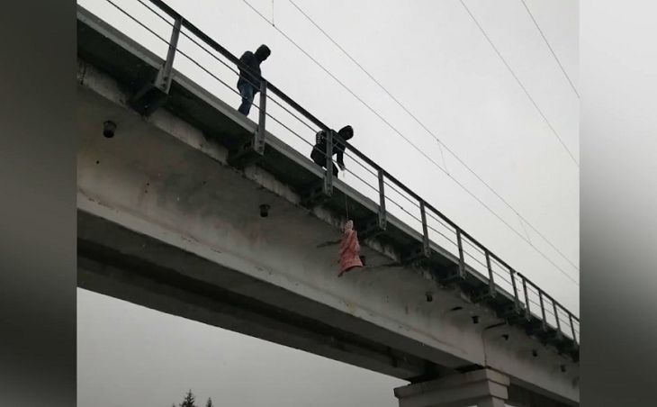 Житель Минского района повесил на мосту чучело главы МВД и стал фигурантом трех уголовных дел