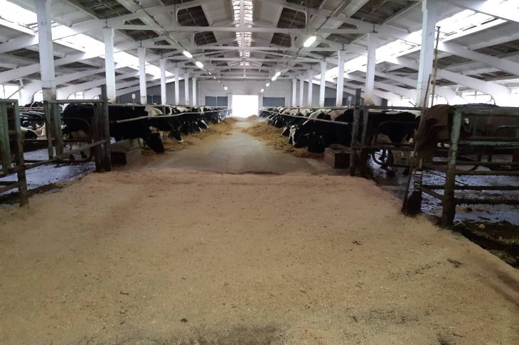 Жизнь в деревне, работа в колхозе — реальность многих белорусов. Рассказываем, как там живут