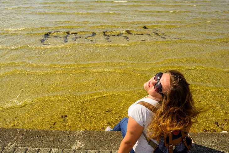 «Скучаю по драникам и жареной картошке». Белоруска о жизни в Бразилии