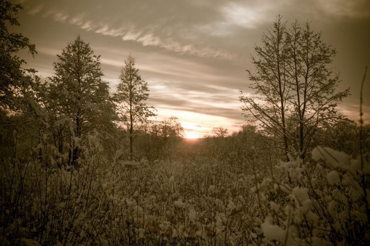 Грядут серьезные неприятности от погоды. Желтый уровень опасности объявлен в Беларуси на 30 декабря