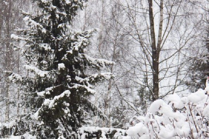 Морозы могут покусать. А еще будет скользко и ветрено – белорусов предупредили о погоде 26 декабря