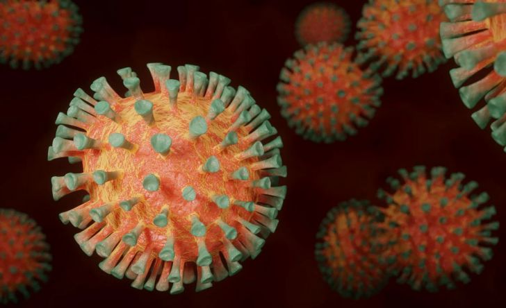 Патоген «встраивается»: учёные открыли новую пугающую способность коронавируса