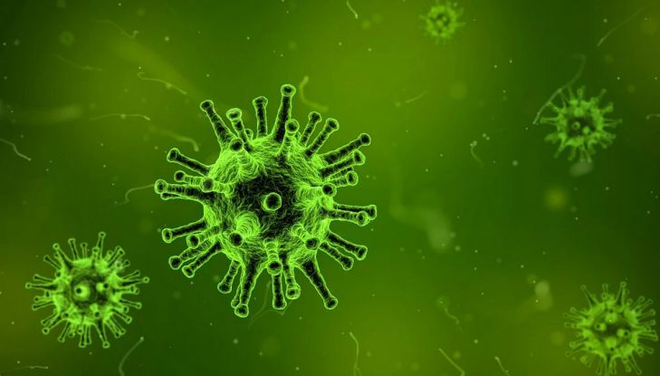 Обнаружен новый штамм коронавируса. На этот раз мутация SARS-CoV-2 выявлена в Нигерии
