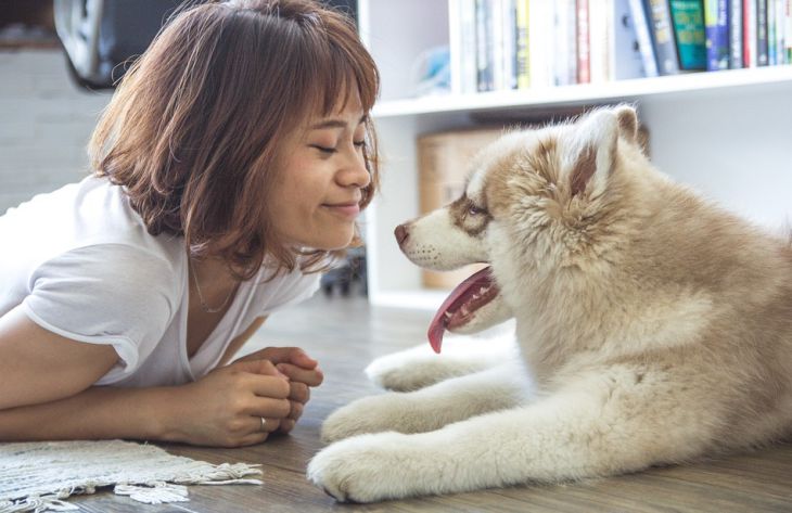 Какие 7 любопытных фактов о собаках стоит знать: мнение специалистов