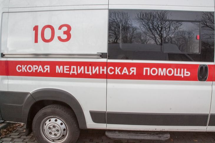 Под Борисовом лесовоз сбил двух работников водоканала: один погиб