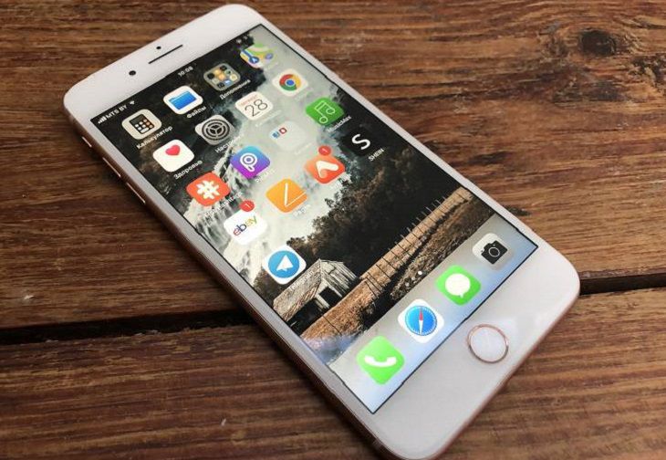 «Речевые выражения с крайне негативной оценкой». Пенсионерку из Несвижа будут судить за оскорбление милиционера